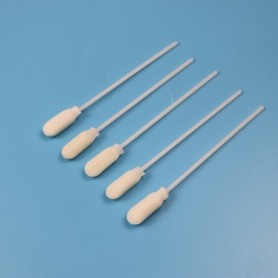 10 mm Gran Esponja Redonda Espalda punta de espuma Colección de muestras Envases individuales