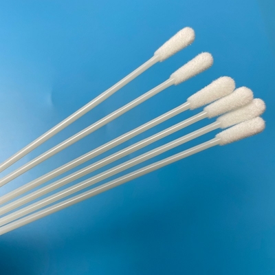 145 mm de largo OEM Swab estéril desechable sin punto de ruptura Swab de recogida de cabeza de 6 mm
